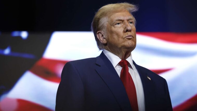 Anna Moneymaker / Fotógrafo de plantilla