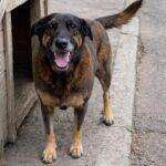 (Imagem: Reprodução)